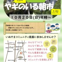 朝市チラシ　１０月　いもほり体験のサムネイル