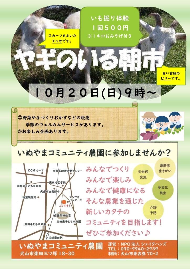 朝市チラシ　１０月　いもほり体験のサムネイル