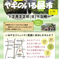 昼市チラシ　１２月　午後からのサムネイル