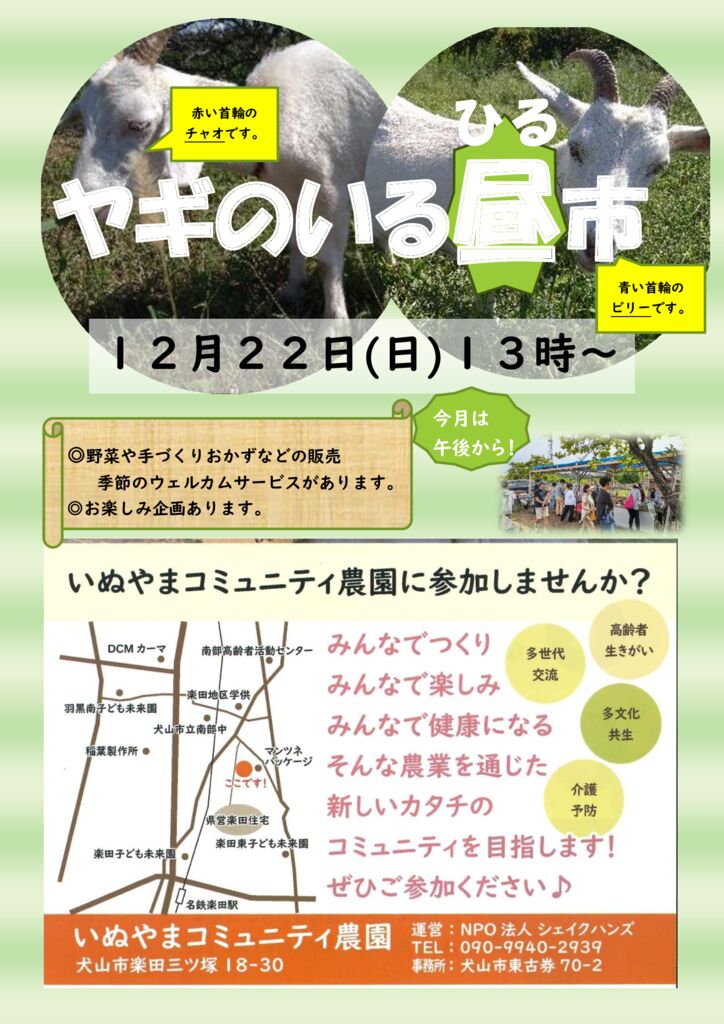 昼市チラシ　１２月　午後からのサムネイル