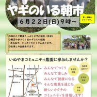 朝市チラシ　６月　２０２５年のサムネイル