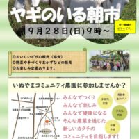 朝市チラシ　９月　２０２５年のサムネイル