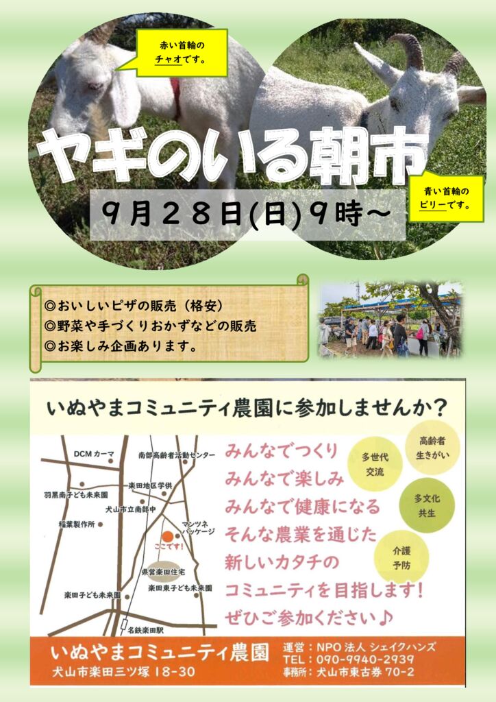 朝市チラシ　９月　２０２５年のサムネイル