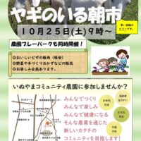 朝市チラシ　１０月　２０２５年のサムネイル