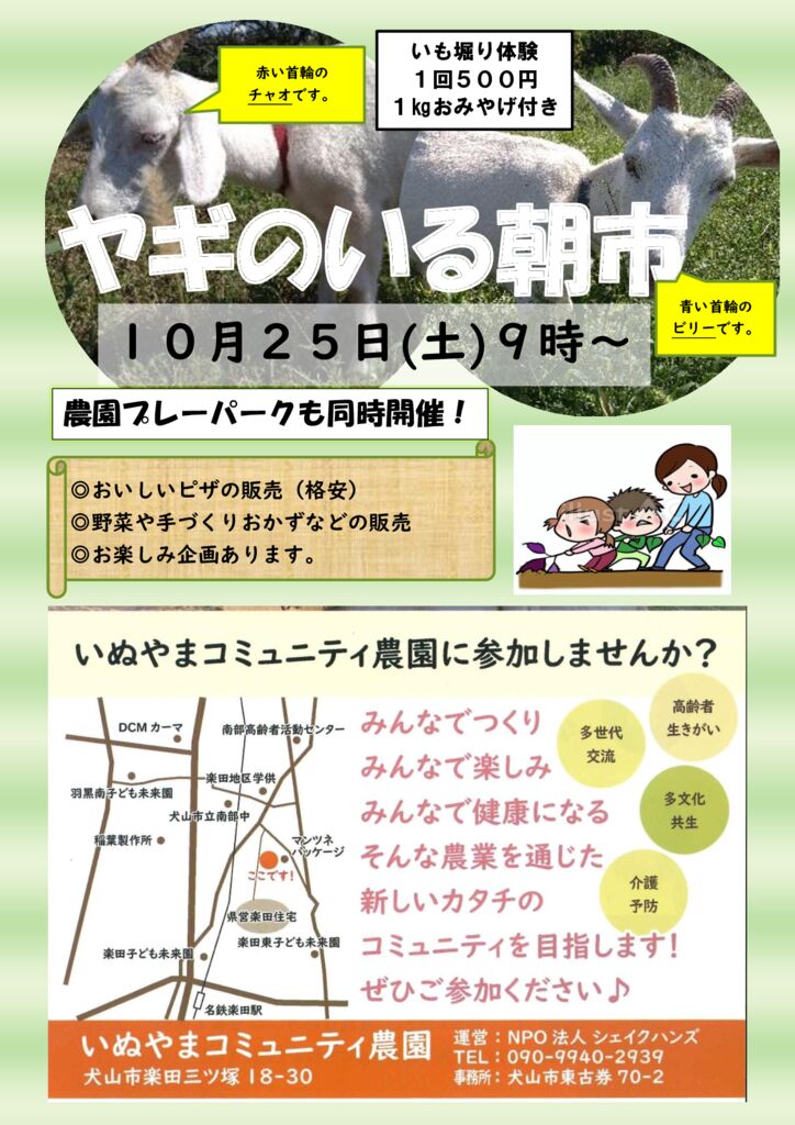 朝市チラシ　１０月　２０２５年のサムネイル