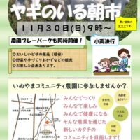 朝市チラシ　１１月　２０２５年のサムネイル