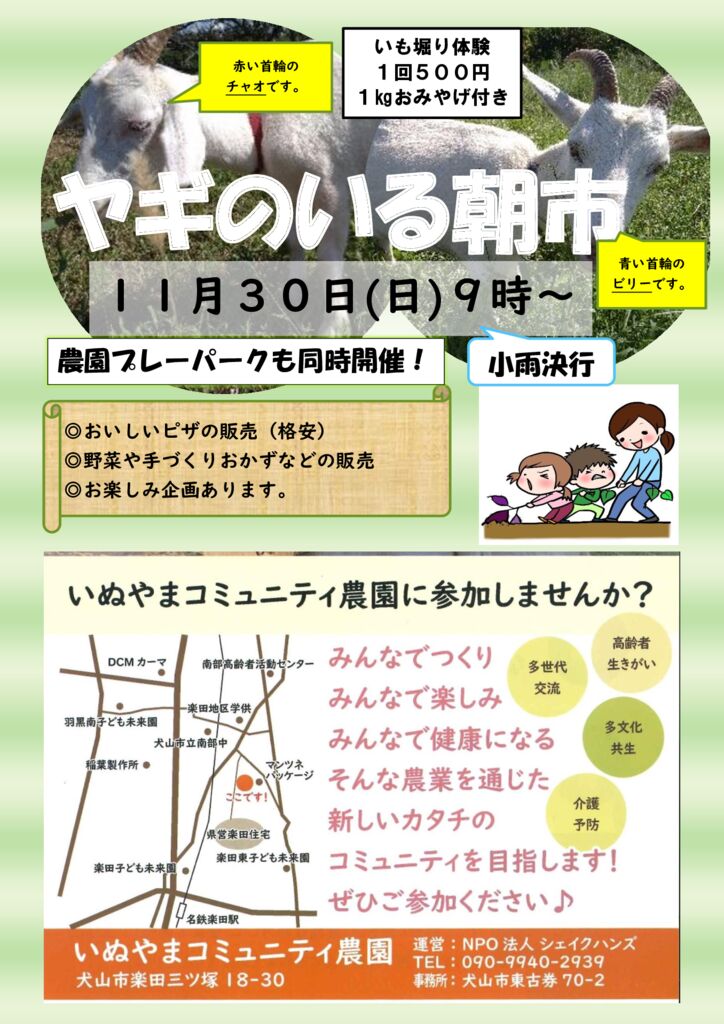 朝市チラシ　１１月　２０２５年のサムネイル