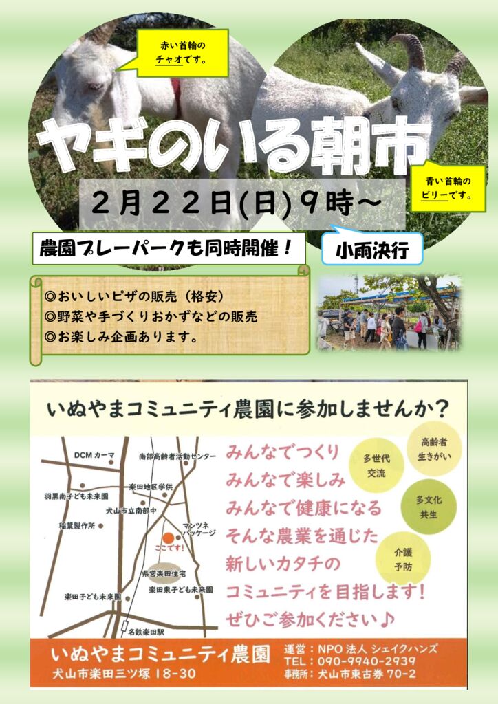 朝市チラシ　２月　２０２６年のサムネイル