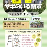 朝市チラシ　３月　２０２６年のサムネイル