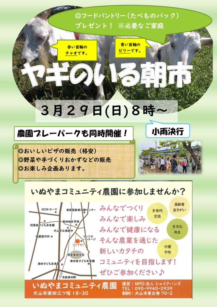 朝市チラシ　３月　２０２６年のサムネイル