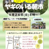 朝市チラシ　４月　２０２６年のサムネイル