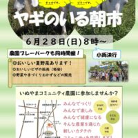 朝市チラシ　６月　２０２６年のサムネイル