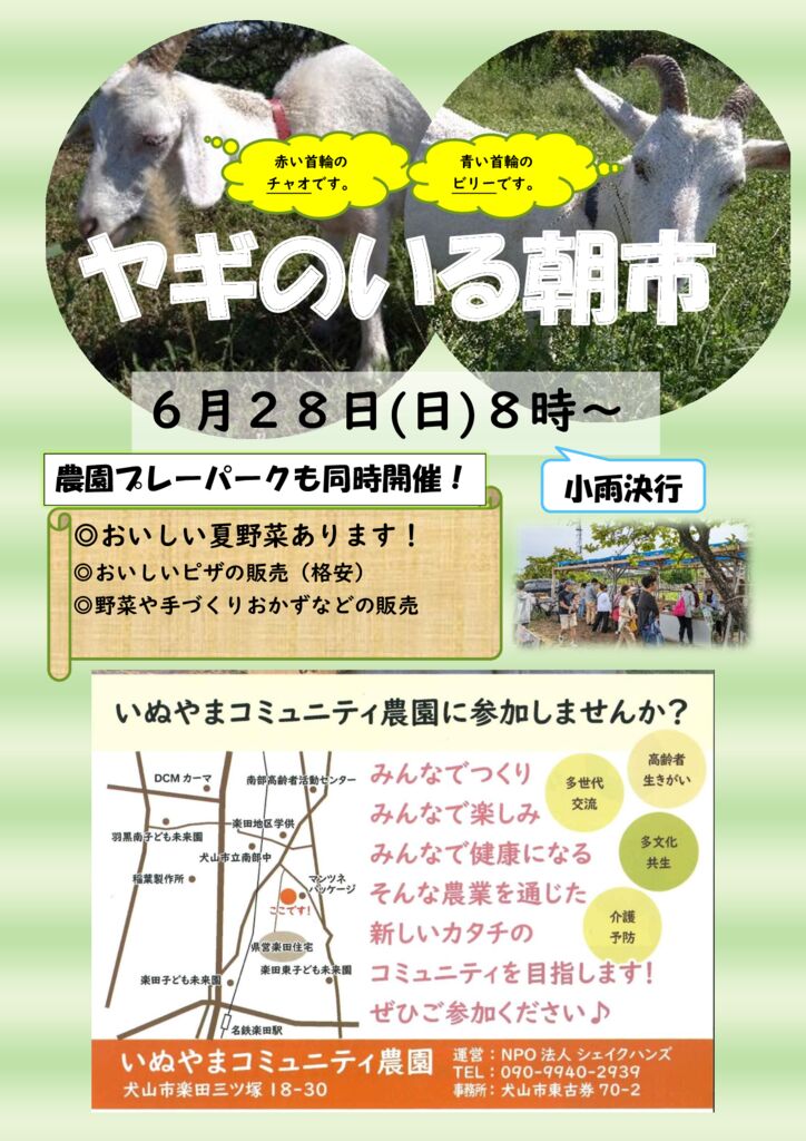 朝市チラシ　６月　２０２６年のサムネイル