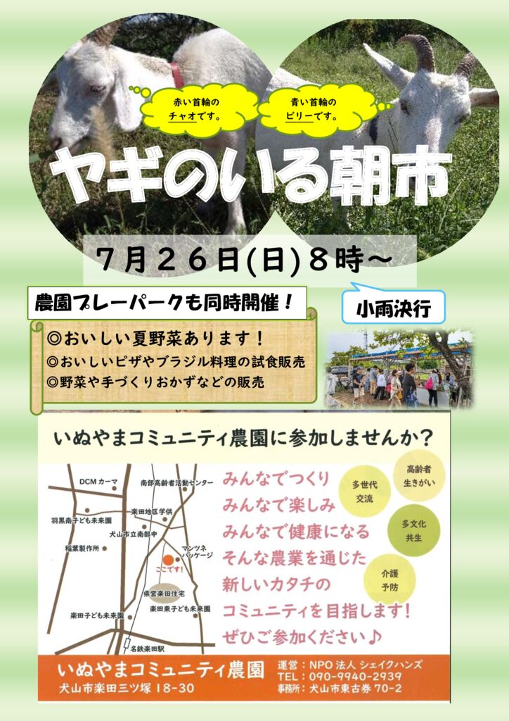 朝市チラシ　７月　２０２６年のサムネイル