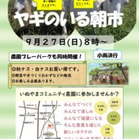 朝市チラシ　９月　２０２６年のサムネイル
