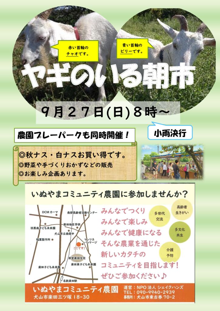 朝市チラシ　９月　２０２６年のサムネイル
